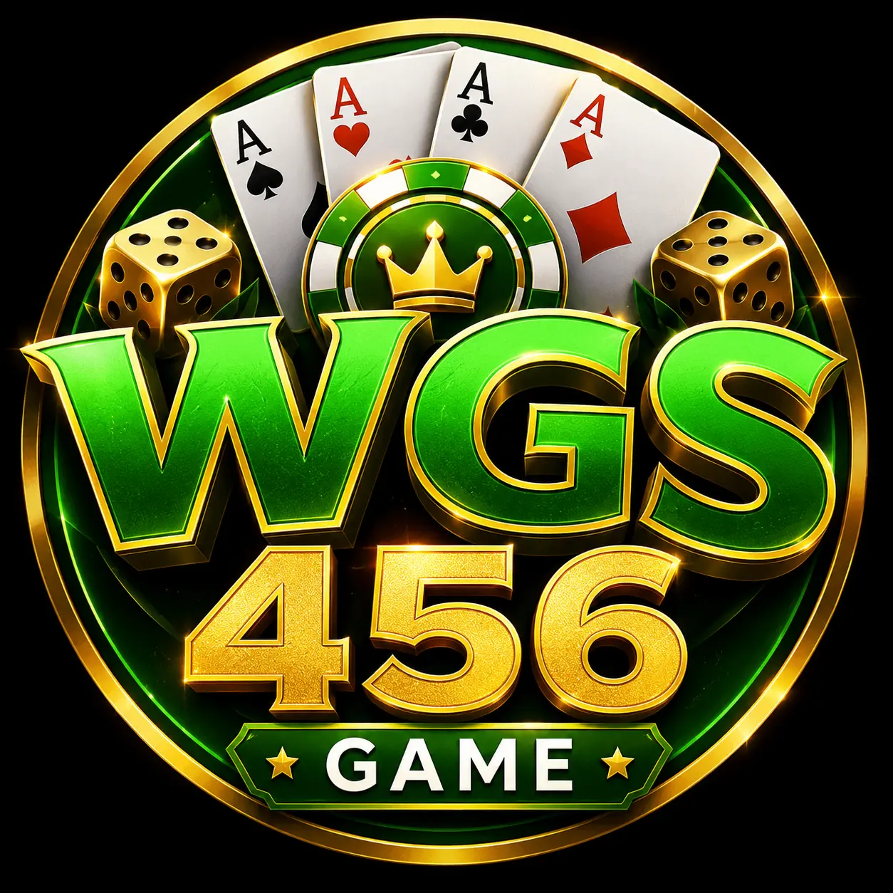 WGS 456 Game