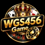 WGS 456 Game
